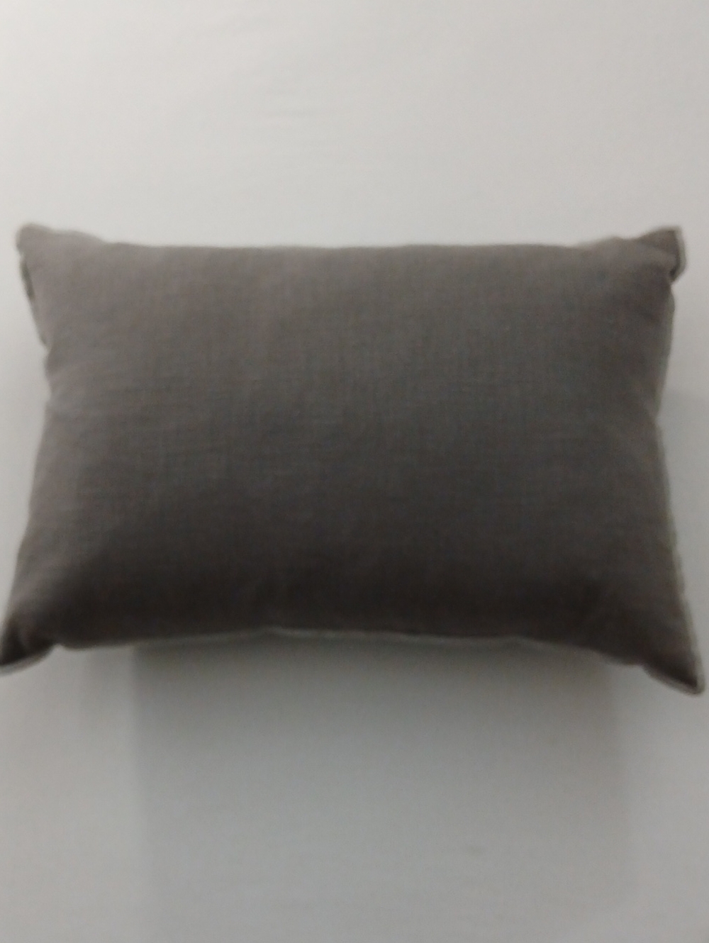 Crate & Barrel Pillow